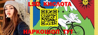 прущие грибы Партизанск