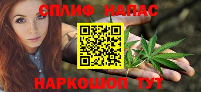прущие грибы Партизанск