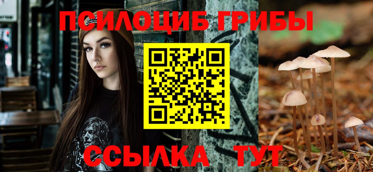 Псилоцибиновые грибы Magic Shrooms  Вход с VPN  Галлюциногенные грибы MAGIC MUSHROOMS  наркотики  Заречный 