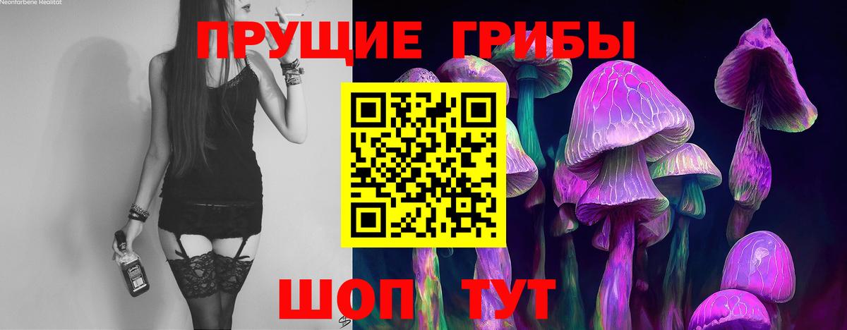 Псилоцибиновые грибы MAGIC MUSHROOMS Заречный